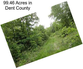 99.46 Acres in Dent County