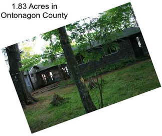 1.83 Acres in Ontonagon County