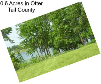0.6 Acres in Otter Tail County