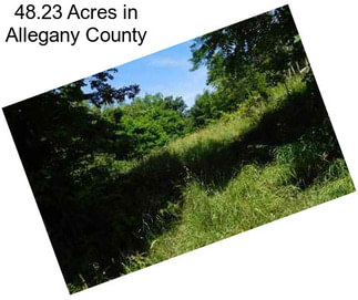 48.23 Acres in Allegany County