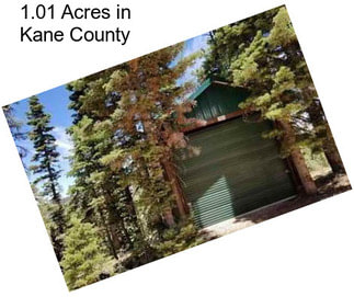 1.01 Acres in Kane County