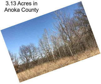 3.13 Acres in Anoka County