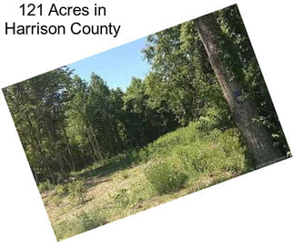 121 Acres in Harrison County