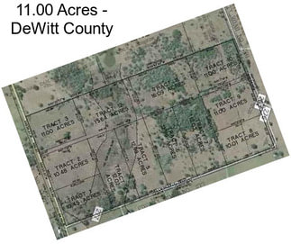 11.00 Acres - DeWitt County