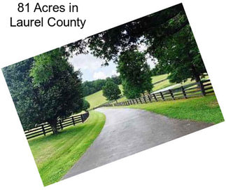 81 Acres in Laurel County