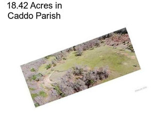 18.42 Acres in Caddo Parish