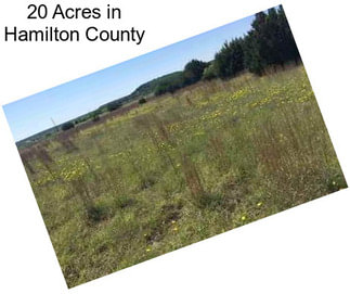 20 Acres in Hamilton County