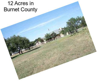 12 Acres in Burnet County