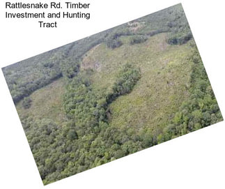 Rattlesnake Rd. Timber Investment and Hunting Tract