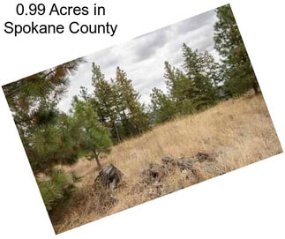 0.99 Acres in Spokane County