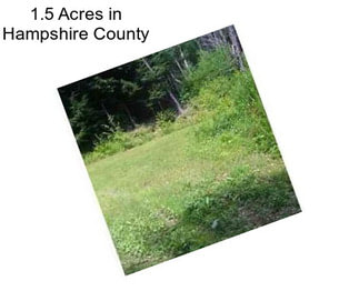 1.5 Acres in Hampshire County