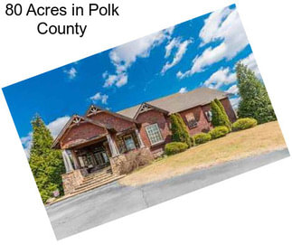 80 Acres in Polk County