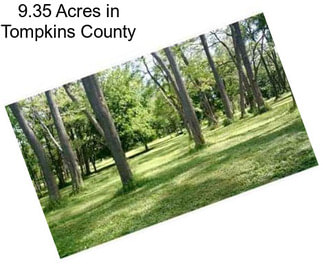 9.35 Acres in Tompkins County