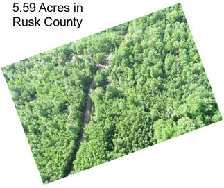 5.59 Acres in Rusk County