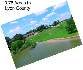 0.78 Acres in Lyon County