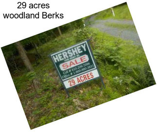 29 acres woodland Berks
