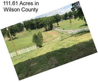 111.61 Acres in Wilson County