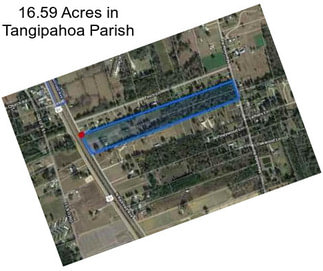 16.59 Acres in Tangipahoa Parish