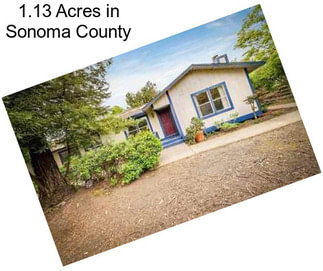 1.13 Acres in Sonoma County