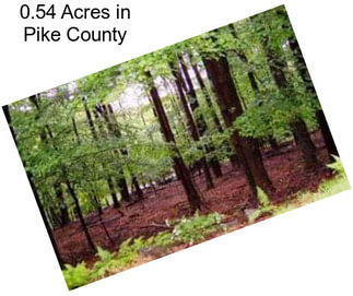 0.54 Acres in Pike County