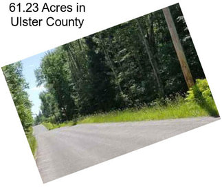 61.23 Acres in Ulster County