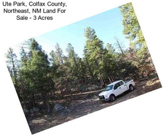 Ute Park, Colfax County, Northeast, NM Land For Sale - 3 Acres