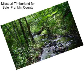 Missouri Timberland for Sale  Franklin County