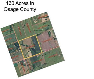 160 Acres in Osage County