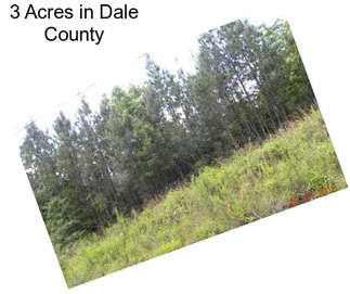 3 Acres in Dale County