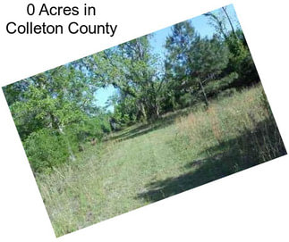 0 Acres in Colleton County