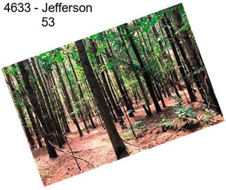 4633 - Jefferson 53