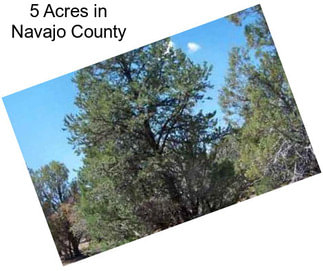 5 Acres in Navajo County