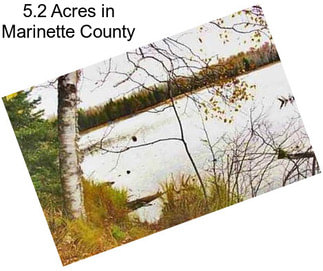 5.2 Acres in Marinette County