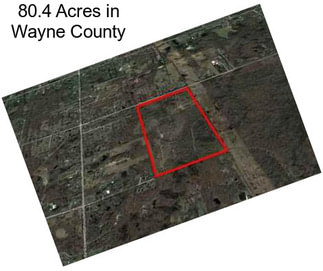 80.4 Acres in Wayne County