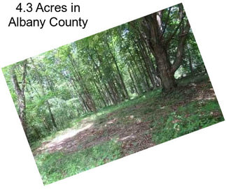 4.3 Acres in Albany County