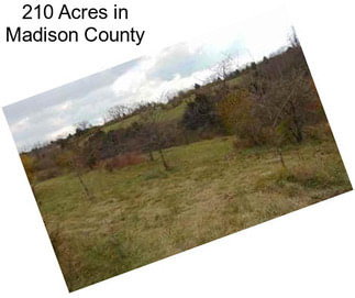 210 Acres in Madison County