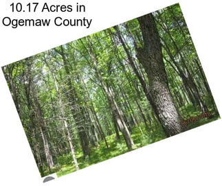 10.17 Acres in Ogemaw County