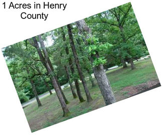1 Acres in Henry County
