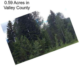 0.59 Acres in Valley County
