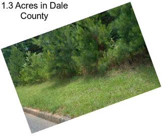 1.3 Acres in Dale County