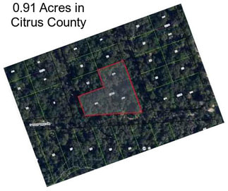 0.91 Acres in Citrus County