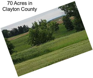 70 Acres in Clayton County