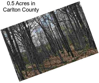 0.5 Acres in Carlton County