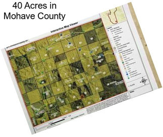 40 Acres in Mohave County