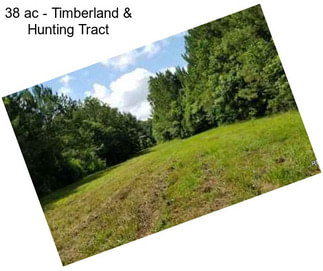 38 ac - Timberland & Hunting Tract
