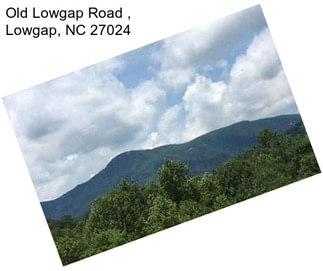 Old Lowgap Road , Lowgap, NC 27024