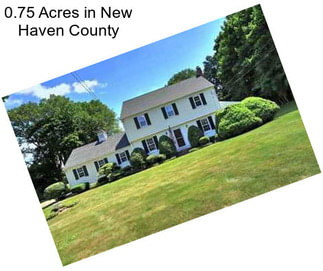 0.75 Acres in New Haven County