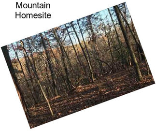 Mountain Homesite