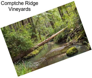 Comptche Ridge Vineyards