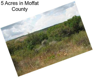 5 Acres in Moffat County